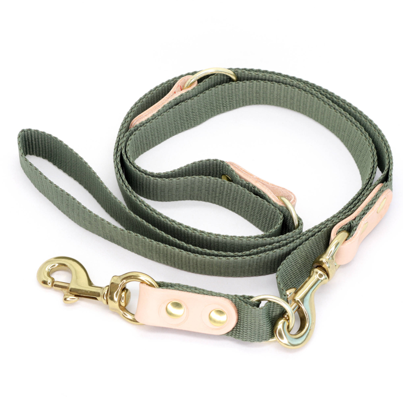 Grøn Hundesnor med karabinhage - Dressurline 25 mm x 250 cm i webbing